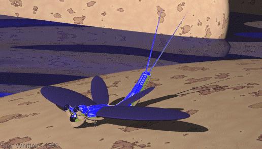 Ever felt like someone was watching?