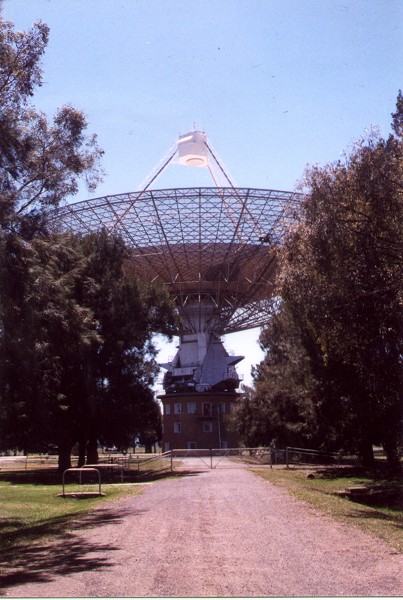 The Dish