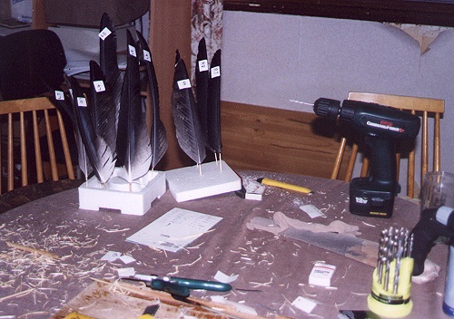 Donor feathers ready to insert into the wings